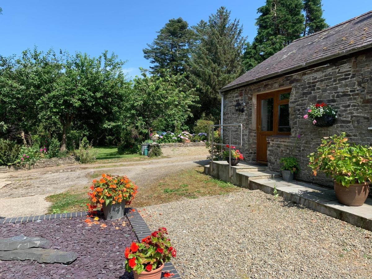 Parc Farm B&B Llanarth  Esterno foto