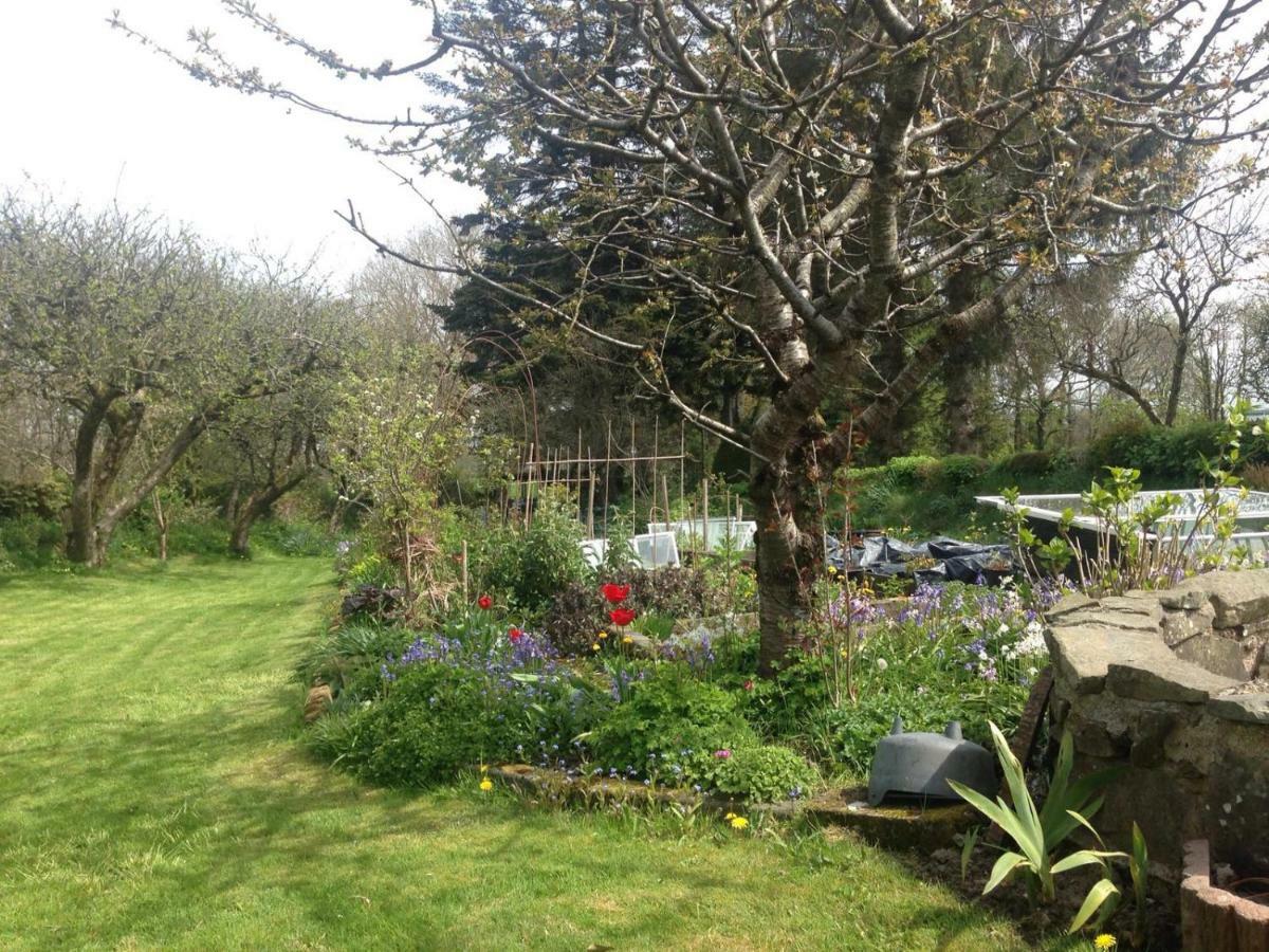 Parc Farm B&B Llanarth  Esterno foto