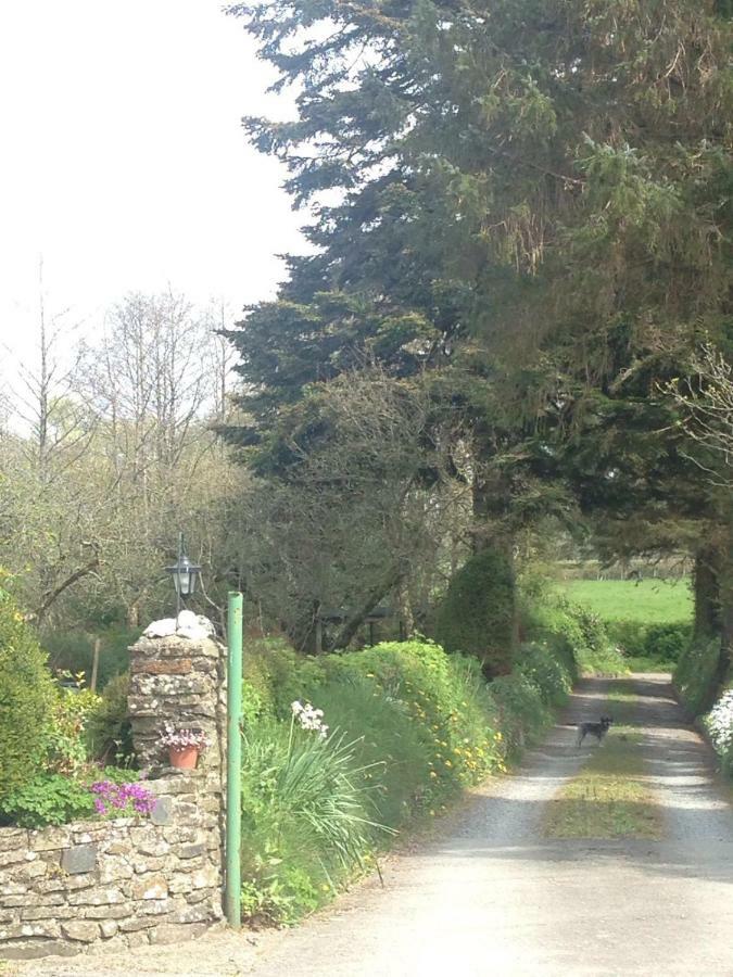 Parc Farm B&B Llanarth  Esterno foto